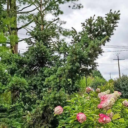 Mit Grossem Garten In La Pree By Interhome Hébergement de vacances *